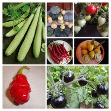 Pomodori cetrioli peperoncino