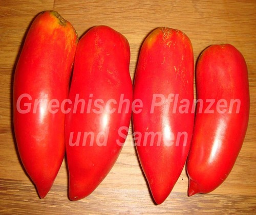 Pomodoro corno andino - , pomodori